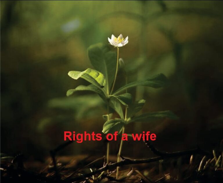 Rights of a wife