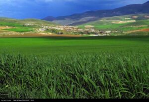 Good dealings of wife with in-law relatives