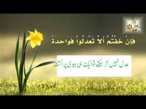 بیویوں کے درمیان عدل وانصاف