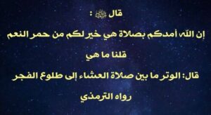 وتر کی نمازسےمتعلق مدلل ومفصل بحث