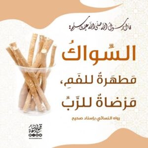 مسواک کی اہمیت وفضیلت